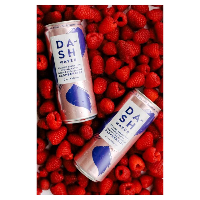 Dash Water Sparkling Raspberry   330ml