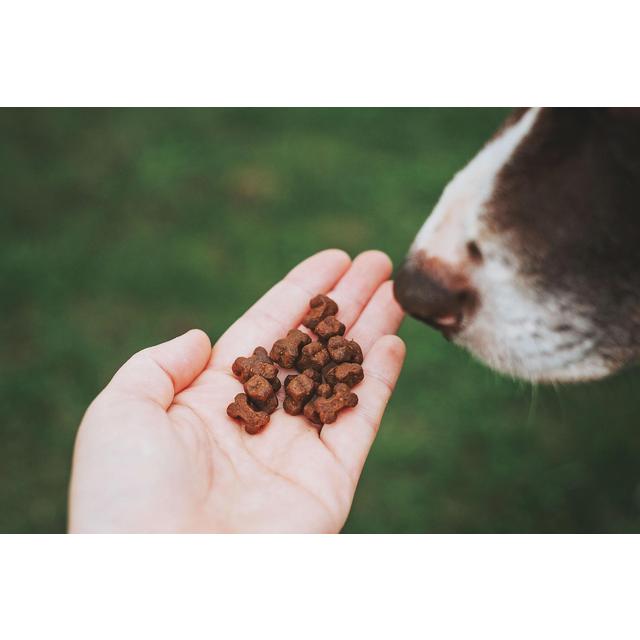 Clydach Farm Grain Free Poultry Dog Treats   500g GOODS M&S   