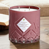 Nature's Mark Scented Glass Candle 1.58kg in 3 Fragrances