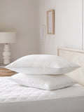 Sleep In Silk Soft 100% Cotton Firm Bed Pillows Set of 2