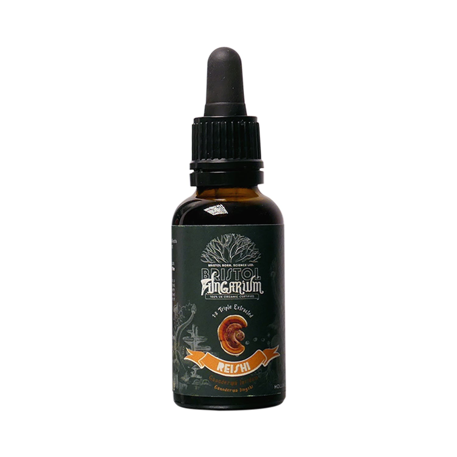 Bristol Fungarium Reishi 18 Triple Extract Tincture 30ml