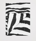 Dolce & Gabbana Casa zebra print pillowcases 60cm x 90cm - British product