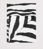 Dolce & Gabbana Casa zebra print pillowcases 60cm x 90cm - British product