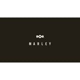 House of Marley Stir It Up belt drive turntable (British brand)