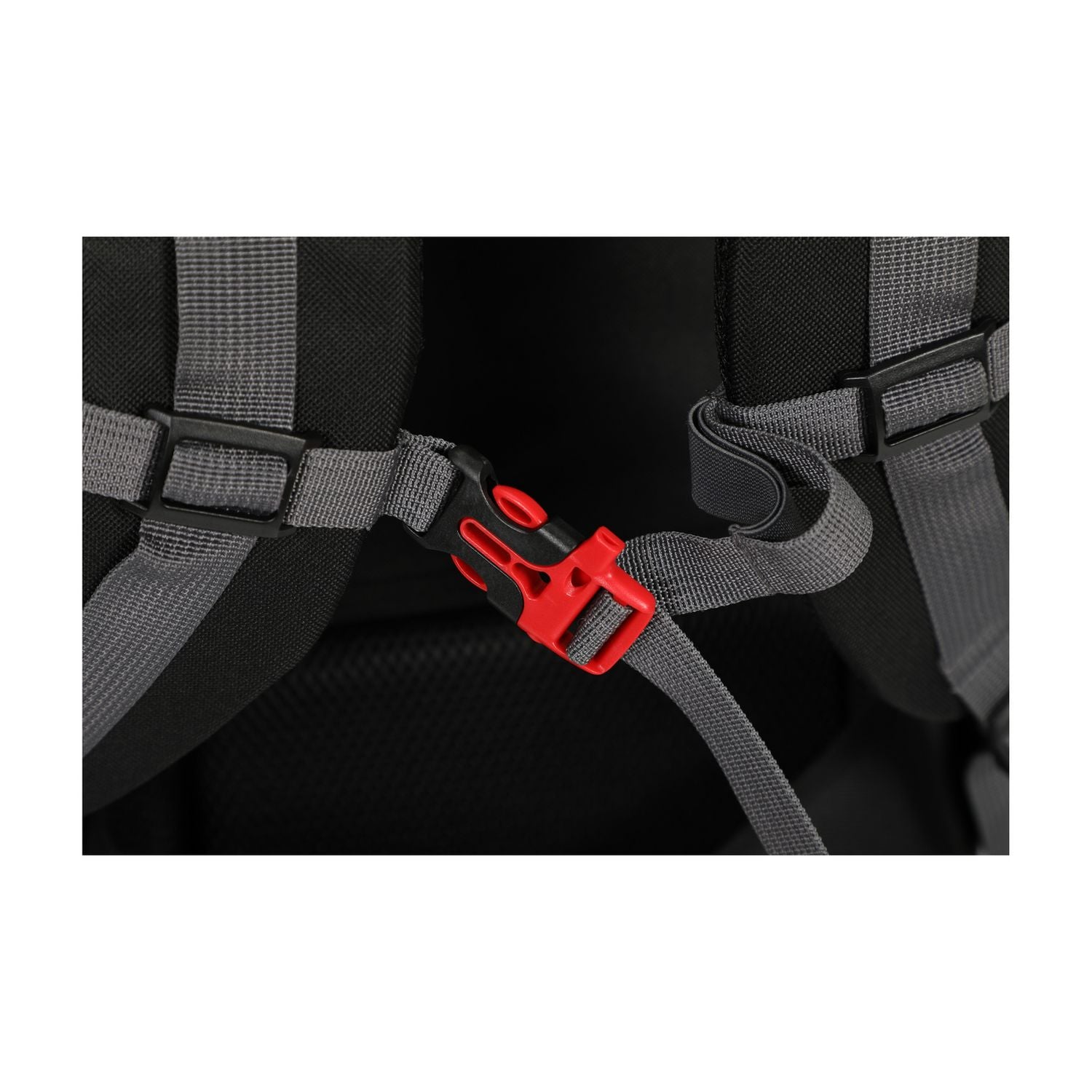 Pro Action backpack black 65L (British brand)