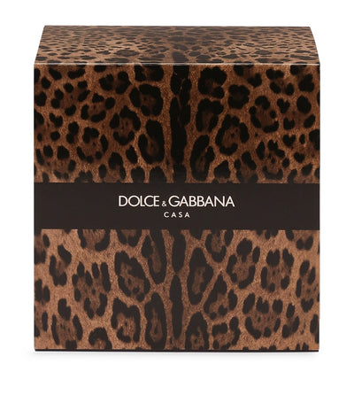 Harrods Dolce&Gabbana Casa Leopardo Patchouli Duftlys 380 g - Kjøp online hos McGrocer
