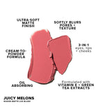 NUDESTIX Nudies Matte Luxe Blush