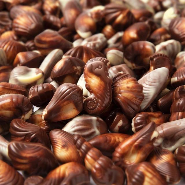 Guylian Seashells   500g GOODS M&S   