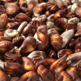 Guylian Seashells   500g GOODS M&S   