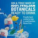 Engine Italian Gin Tonic 237ml canned - British product