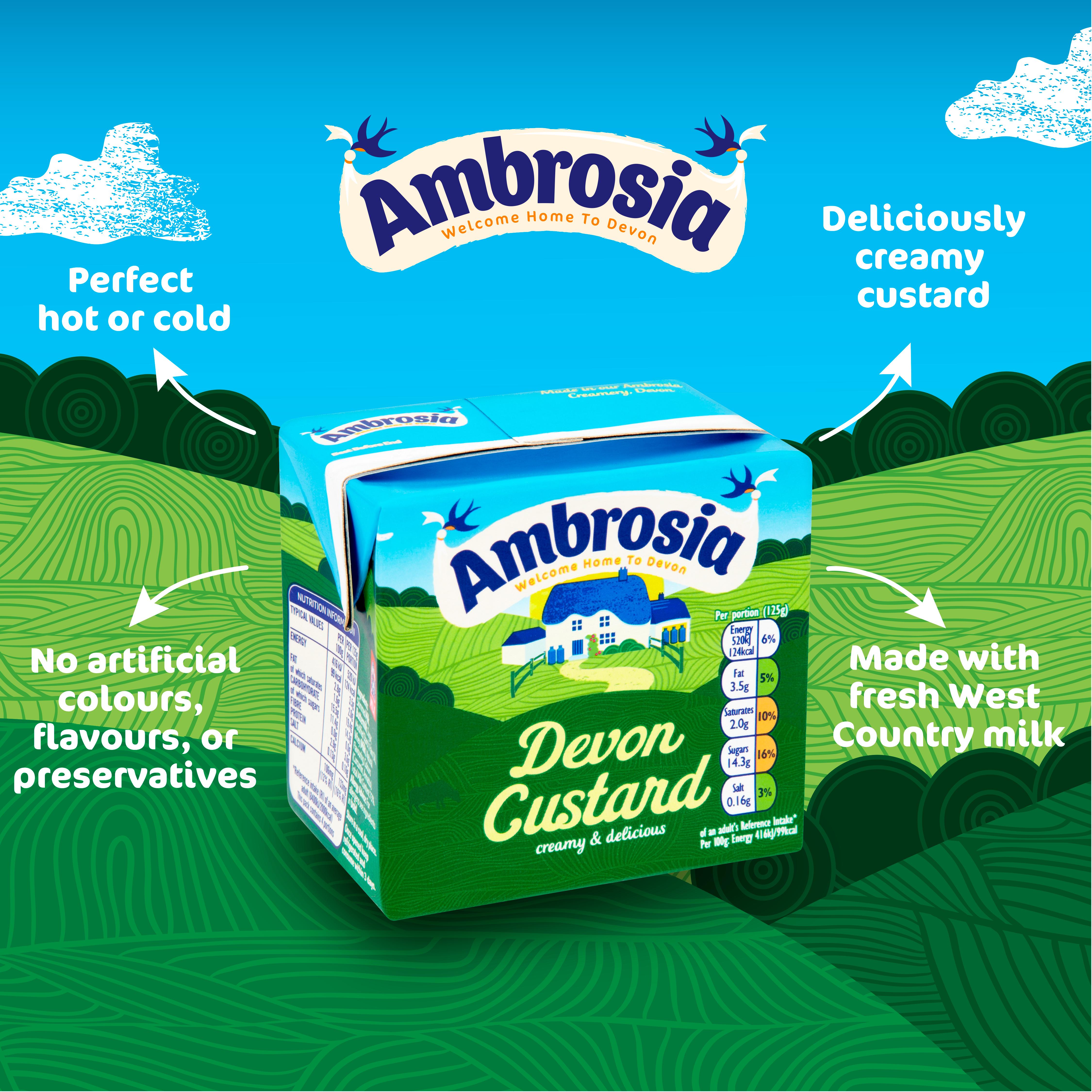Ambrosia Devon Custard 500g carton (British brand)