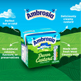 Ambrosia Devon Custard 500g carton (British brand)