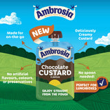 Ambrosia chocolate custard pouch 100g, imported from the UK