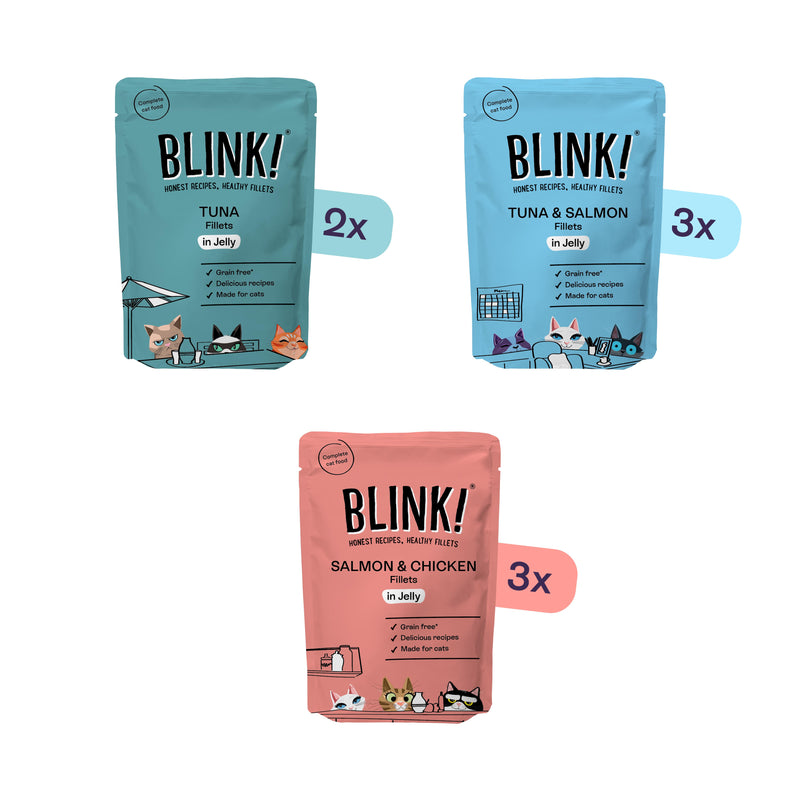 Blink! fish pouch selection in jelly wet cat food 8x85g, imported from the UK