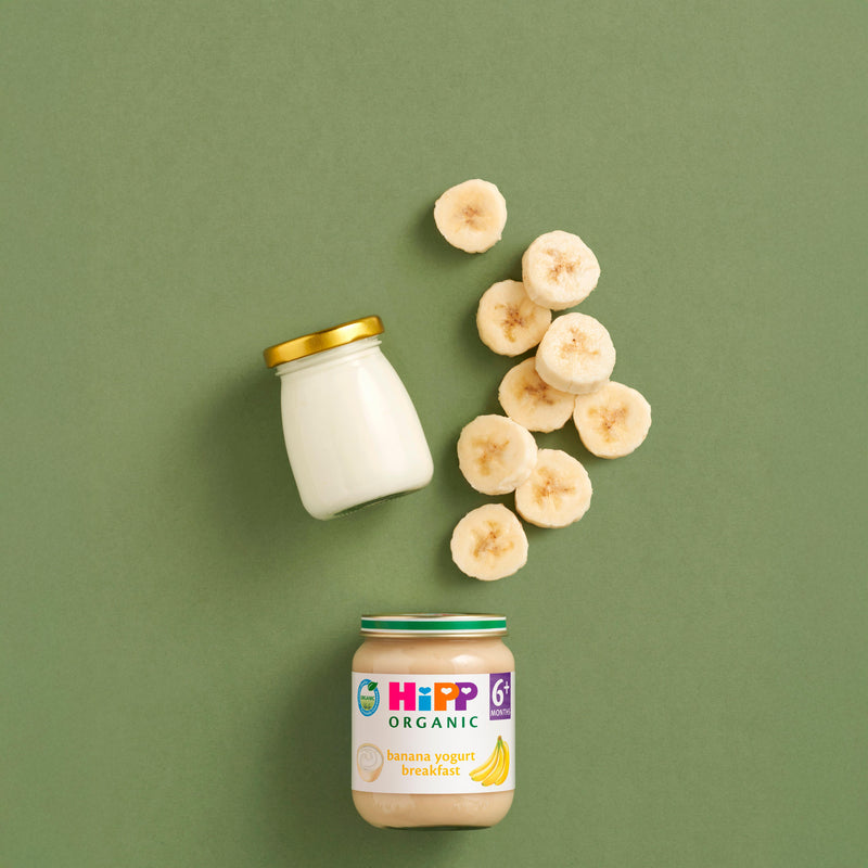HiPP organic banana yogurt baby food 125g (British brand)