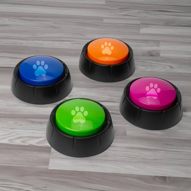 Menkind recordable dog buttons set of 4 (British brand)