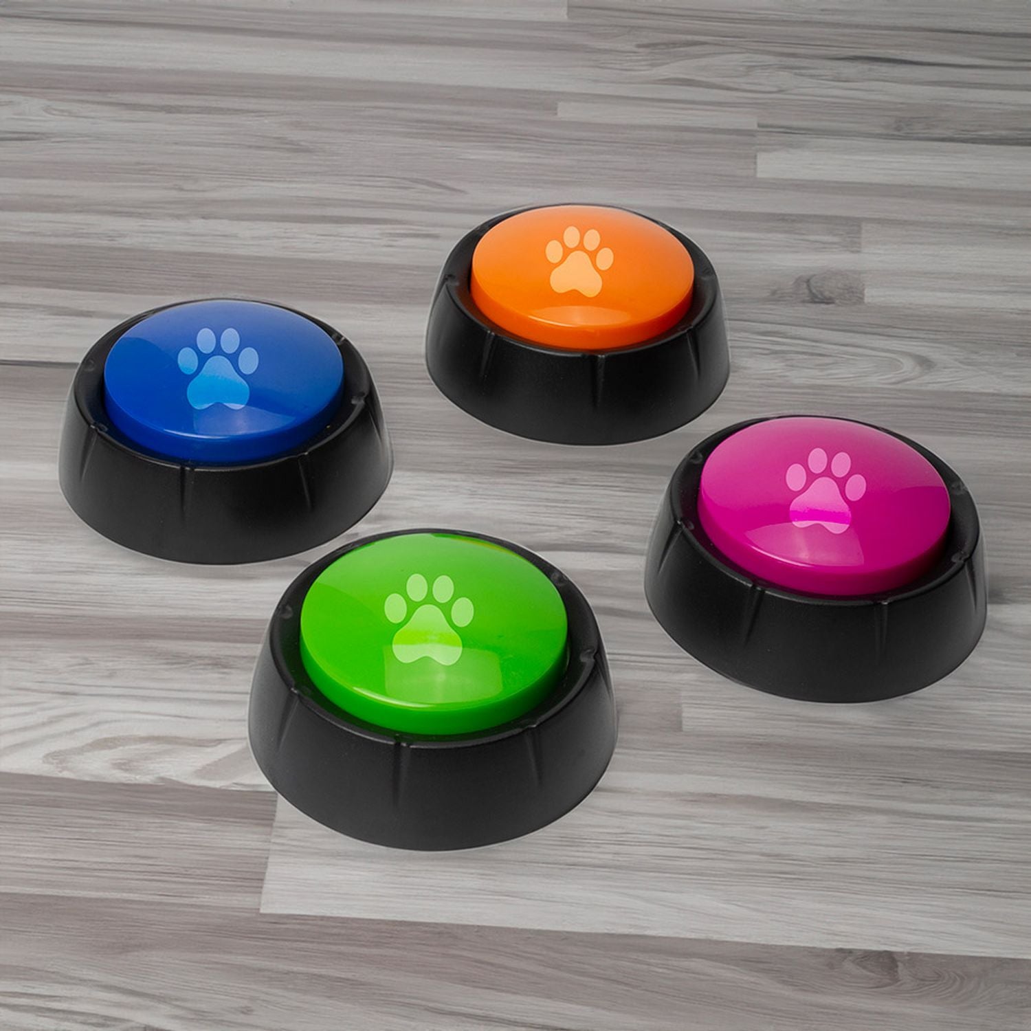 Menkind recordable dog buttons set of 4 (British brand)