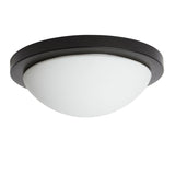 Argos Home black bathroom flush ceiling light 28cm, imported from the UK