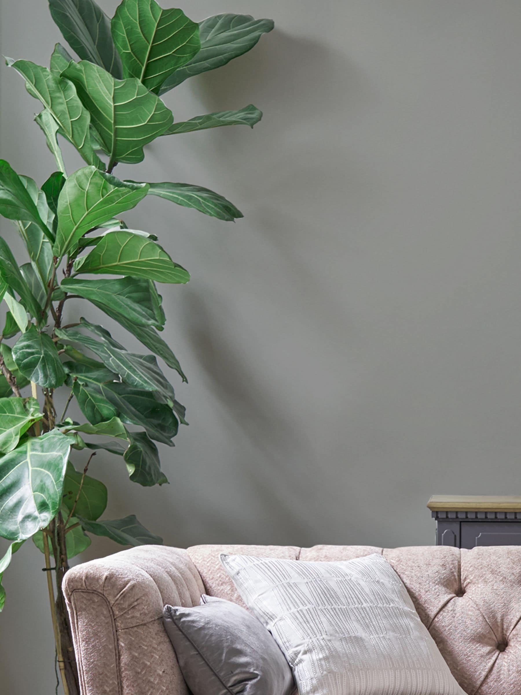 Laura Ashley Dove Grey White Matt Emulsion Paint 2.5L