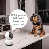 Swann EVO 2K Pan & Tilt indoor security camera - British product