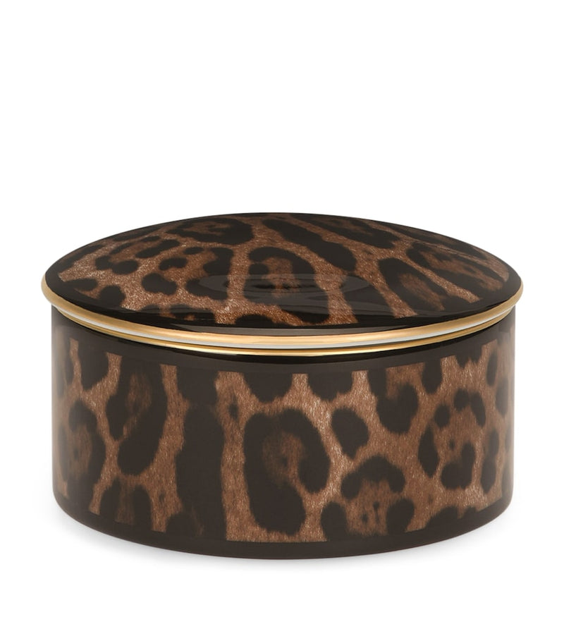 Dolce&Gabbana Leopardo porcelain trinket box - British product