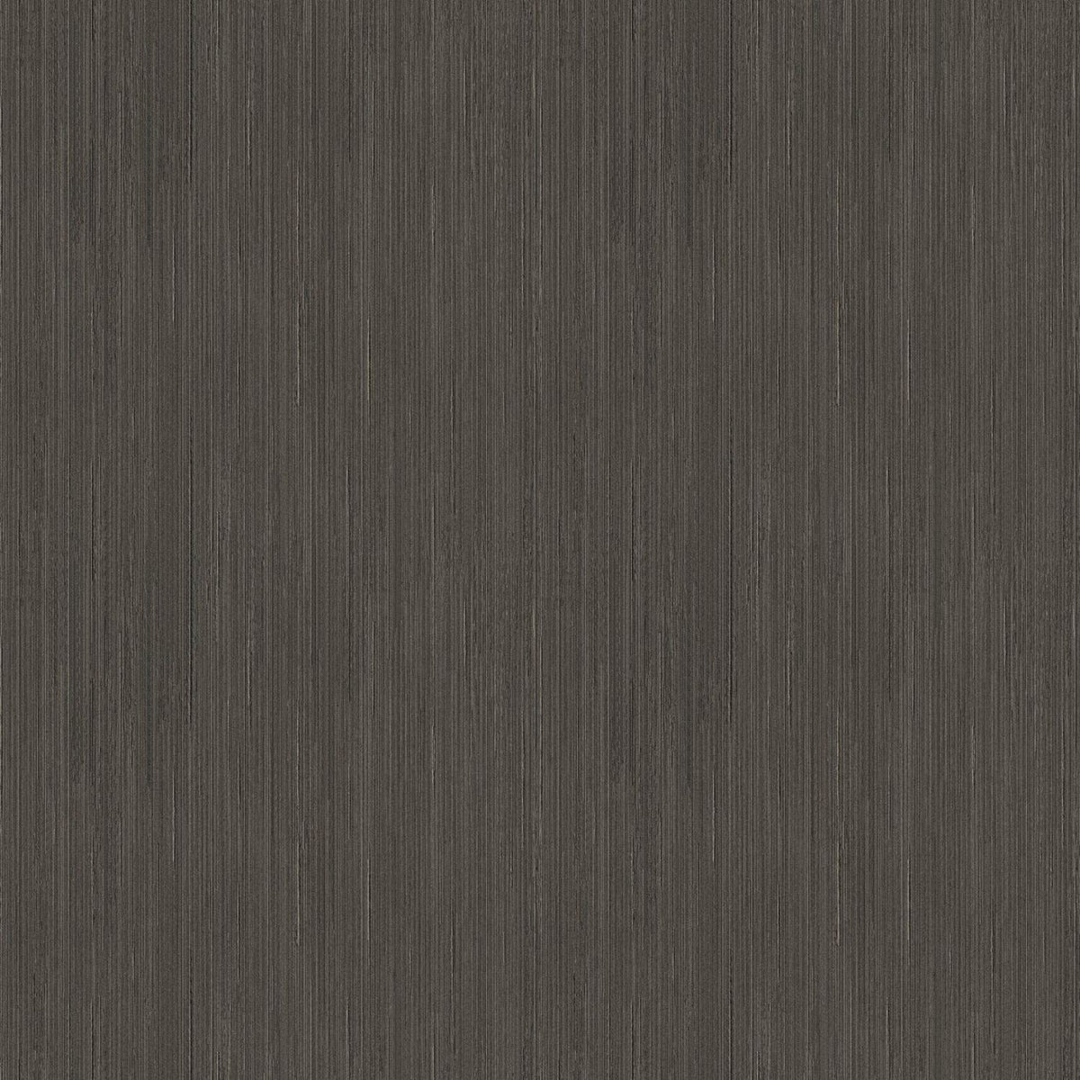 Arthouse Silk Cascade Charcoal Wallpaper