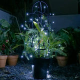 Sainsbury's solar string light 300 LED white 31.9m (British brand)