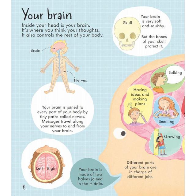 Look Inside Your Body from Usborne GOODS M&S   