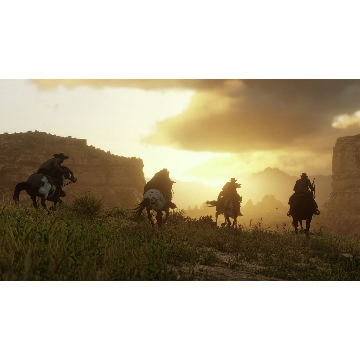 Red Dead Redemption 2 PS4 game disc cover art, UK version