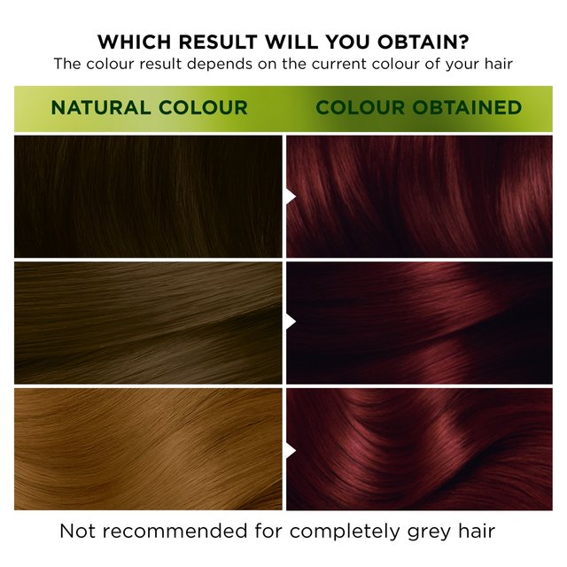 Garnier Nutrisse Ultra-Colour 2.60 Dark Cherry Permanent Hair Dye GOODS M&S   