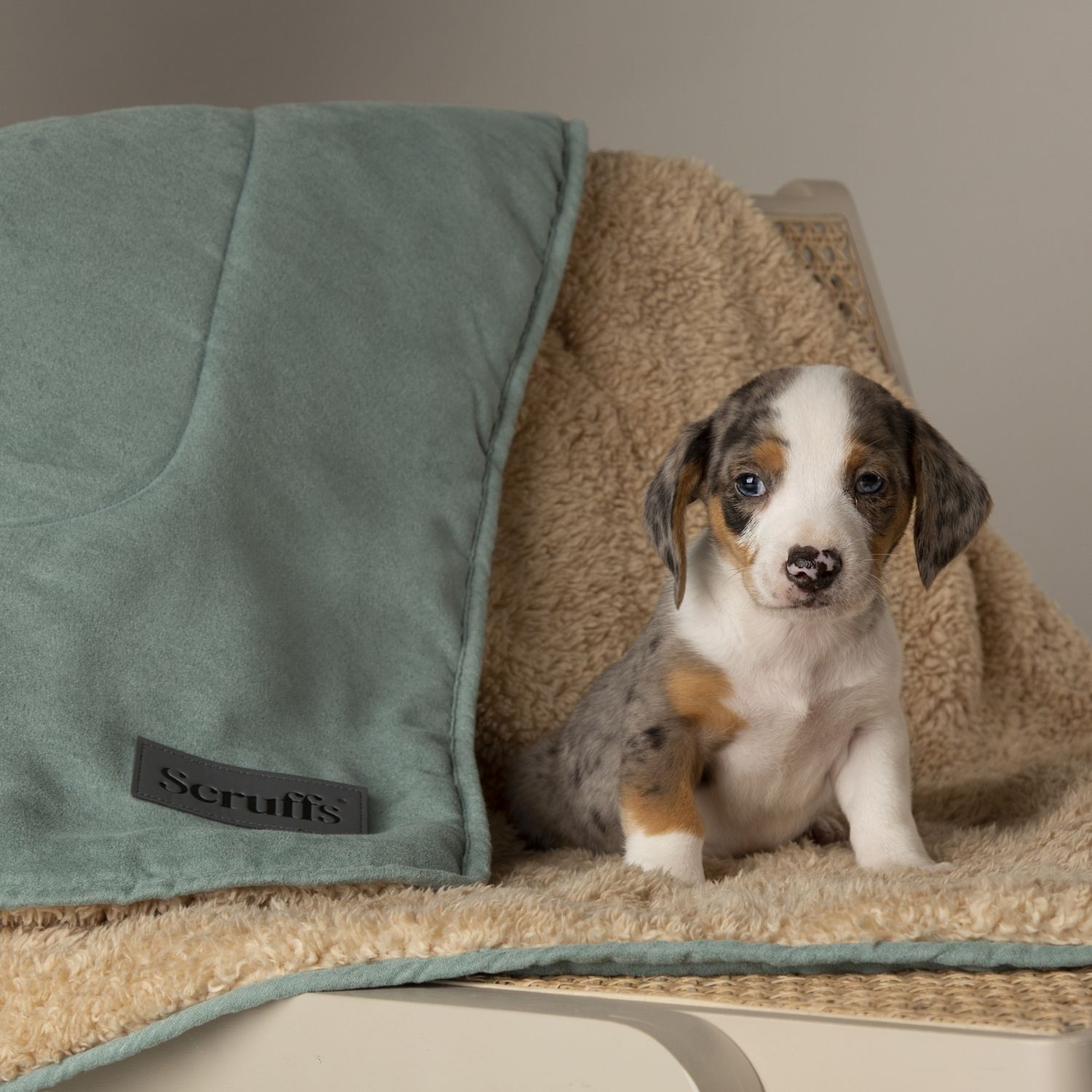 Scruffs Snuggle Blanket sage-green 110x73cm, UK version