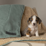 Scruffs Snuggle Blanket sage-green 110x73cm, UK version