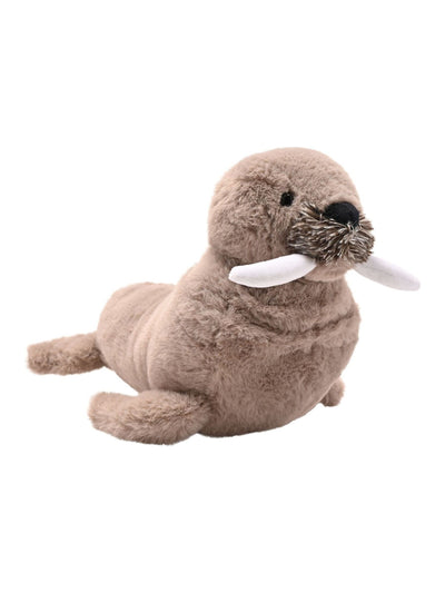 Next Widdop Walter the Walrus Plush Toy with Glow in the Dark Teeth, 30cm- Buy online at McGrocer