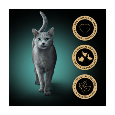 Sheba adult wet cat food poultry gravy 15 x 50g pouches (British brand)