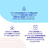 E45 Dermatitis Relief Cream 50ml - British product