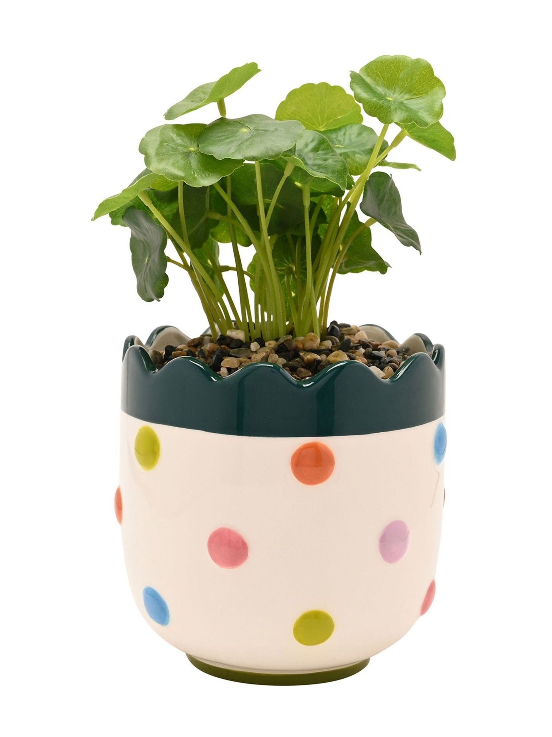 Widdop bobble planter with faux plant 24cm (British brand)