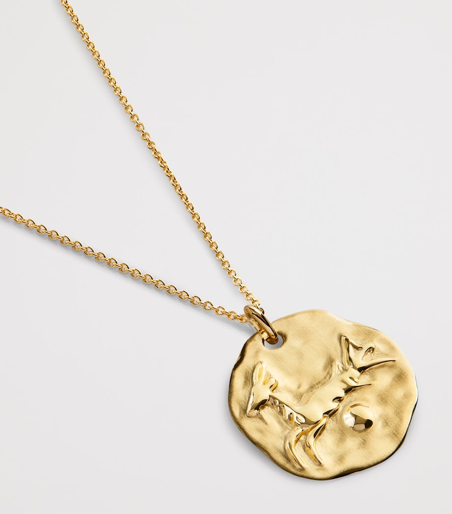 Monica Vinader gold vermeil Capricorn pendant necklace (British brand)