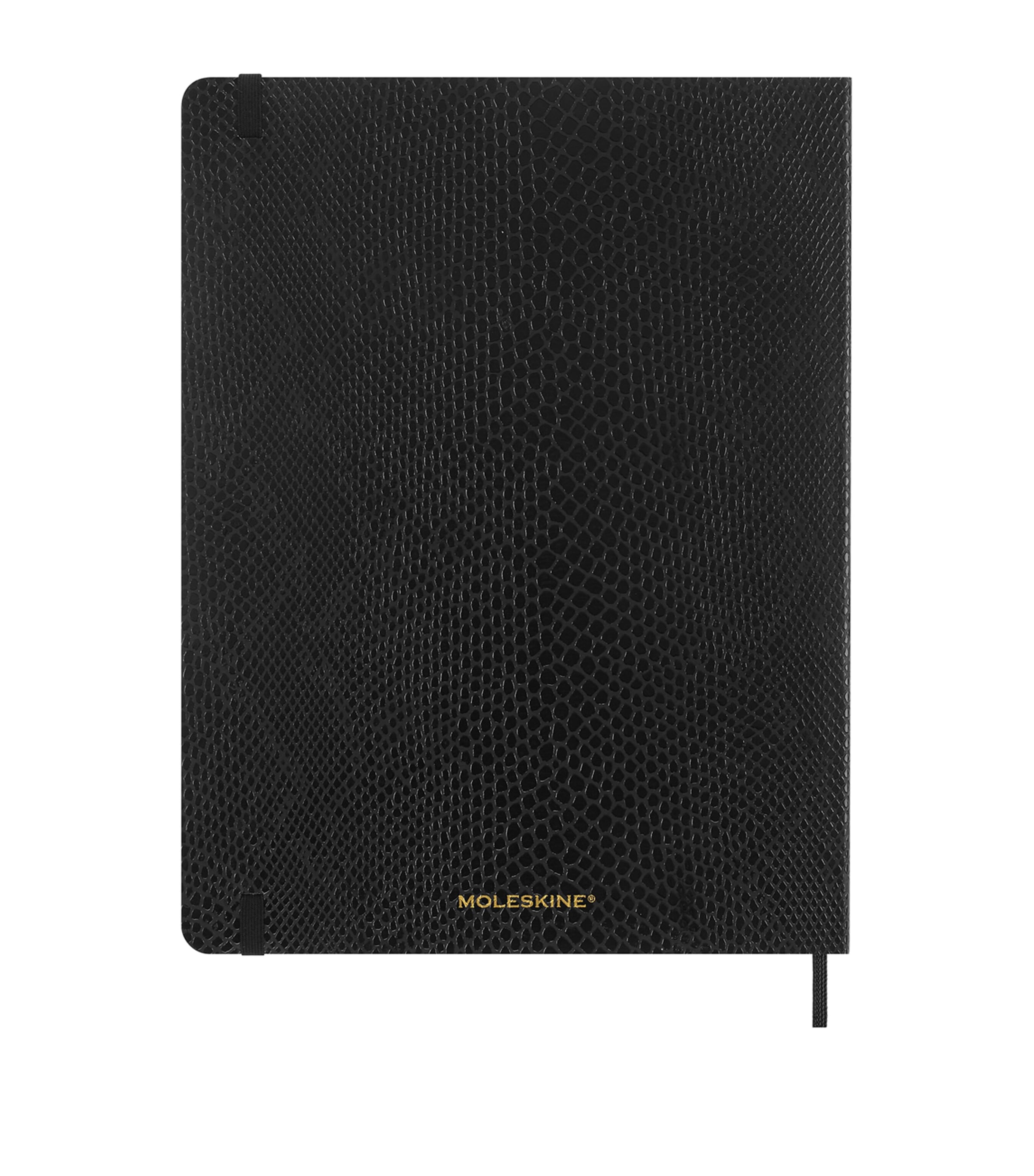 Moleskine Precious & Ethical Vegan Notebook Large, imported from the UK
