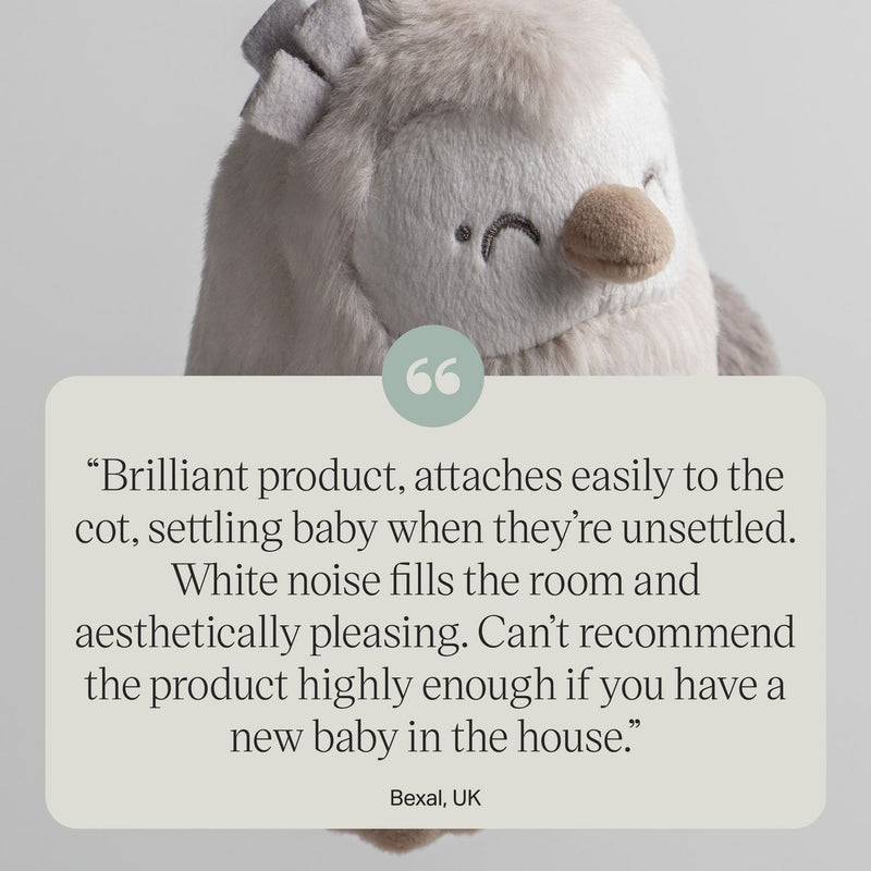 Tommee Tippee Deluxe Ollie travel sleep aid - British product