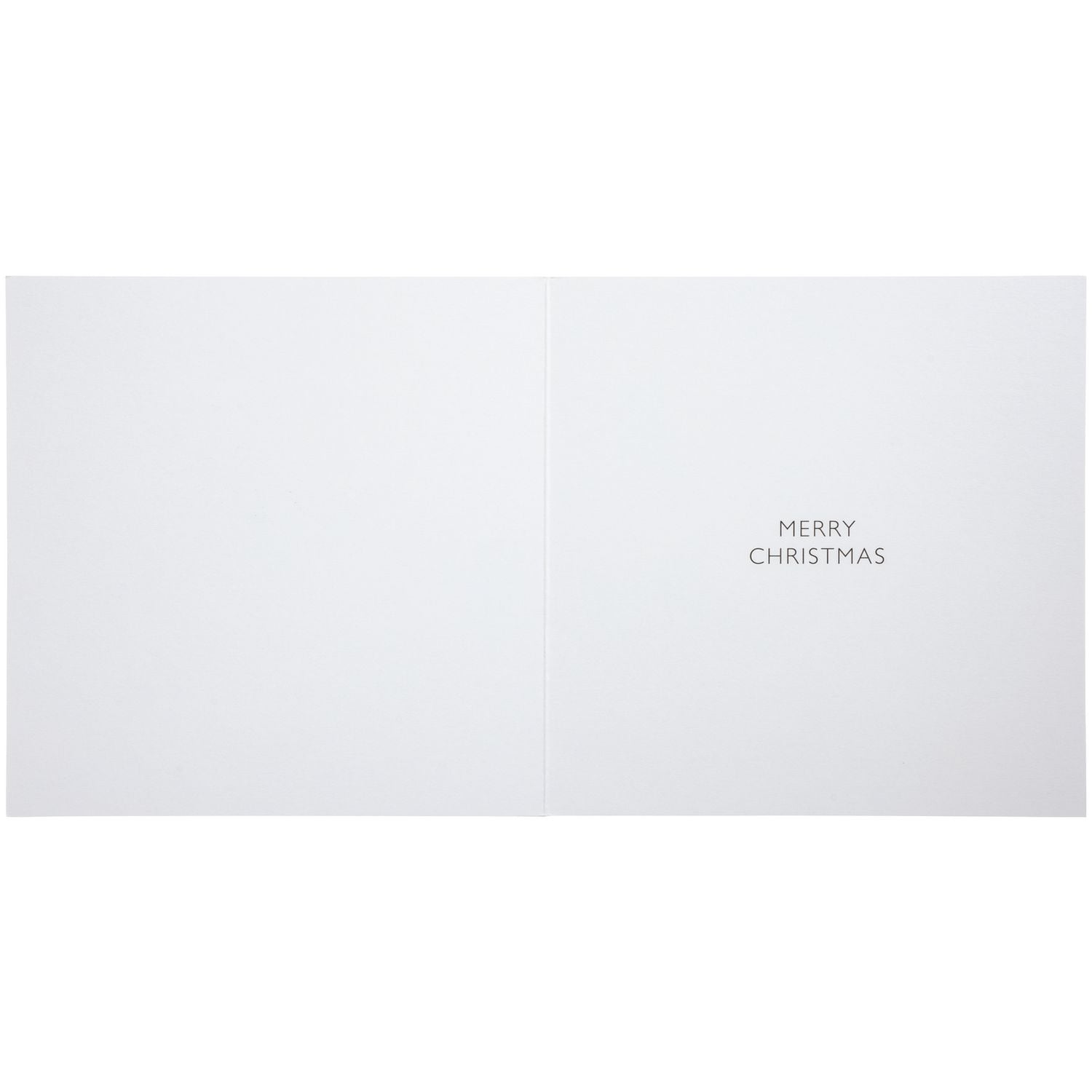 Comic Relief photographic animal Christmas cards 24 pack (British brand)
