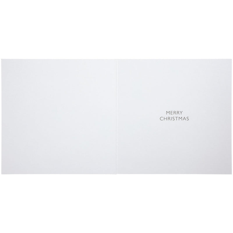 Comic Relief photographic animal Christmas cards 24 pack (British brand)