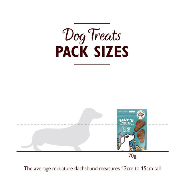 Lily's Kitchen The Mighty Duck Mini Jerky for Dogs   70g GOODS M&S   