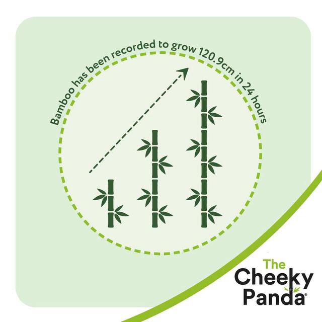 The Cheeky Panda Biodegradable Bamboo Handy Wipes