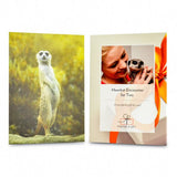 Find Me a Gift Meerkat Encounter for Two Gift Experience GOODS Superdrug   