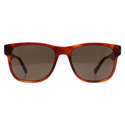 Superdrug Banana Republic BR 4008/S Havana Honey Brown Men Sunglasses- Buy online at McGrocer