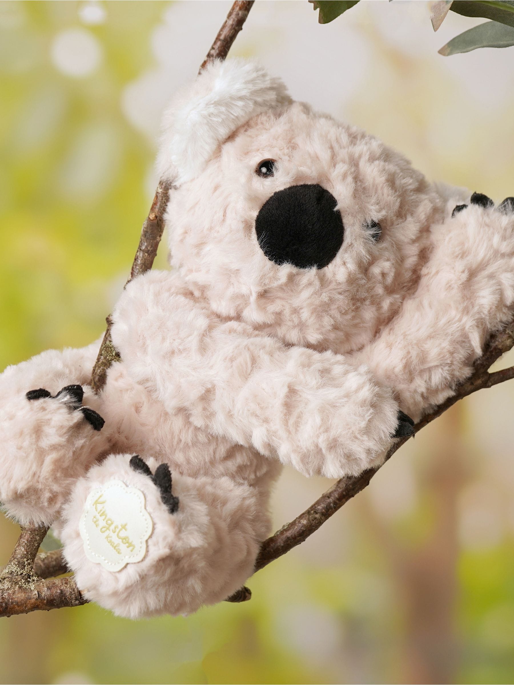 Widdop plush sitting koala bear 22.5cm, UK version