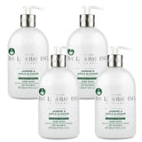 Baylis & Harding hand wash Jasmine Apple Blossom 4x500ml British product