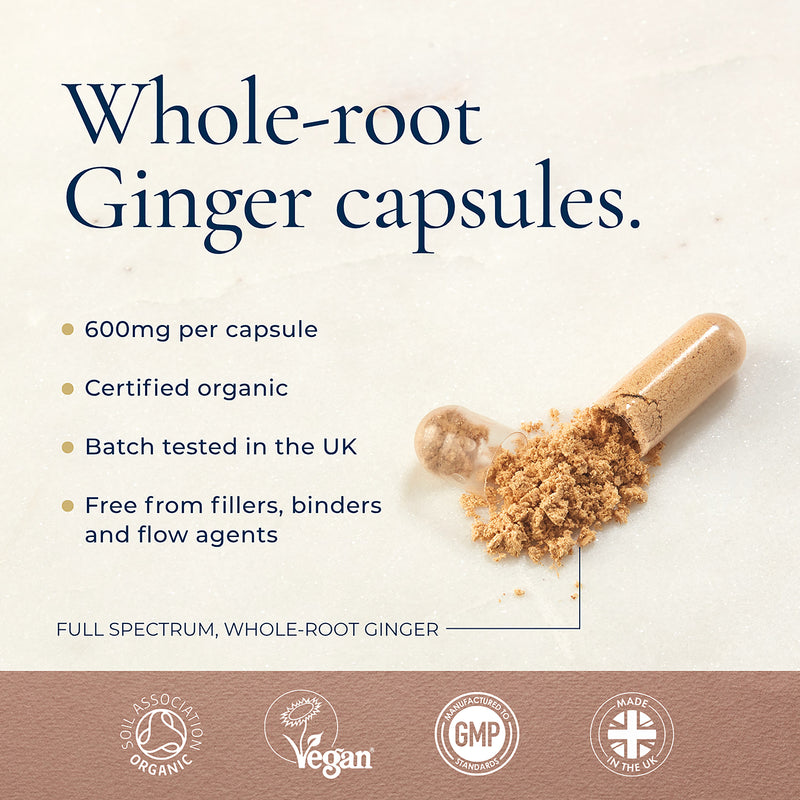 Ayurvediq organic ginger capsules 120 count (British brand)