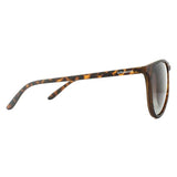 Polaroid brown polarised sunglasses - British product