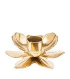 Trudon flower candlestick holder, imported from the UK